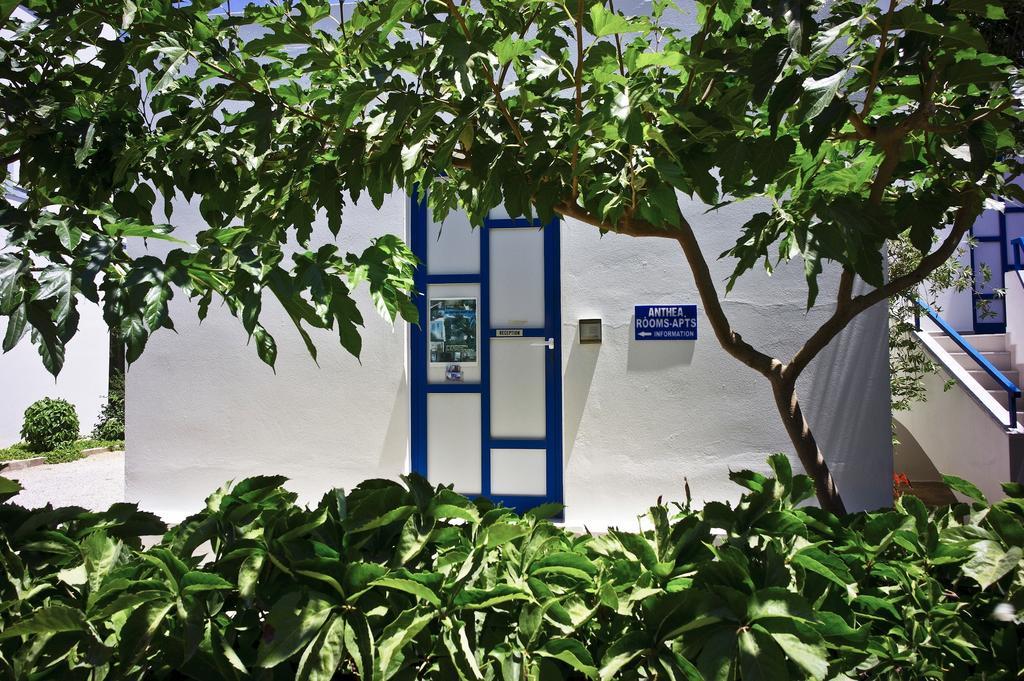 Anthea Apartments 팔라이오코라 외부 사진